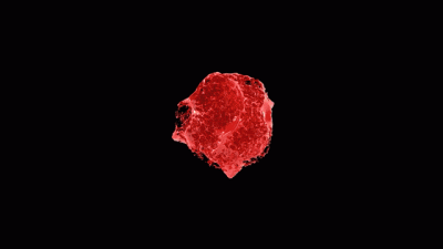 Femdom Tinder Task Goddess Chloe Love