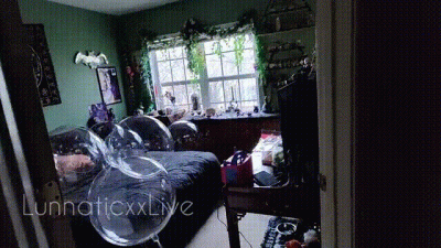 The Bubble Garden