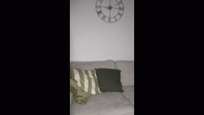 Fun On The Sofa