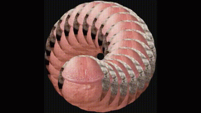 Faggot Affirmations "I Am" Affirmations