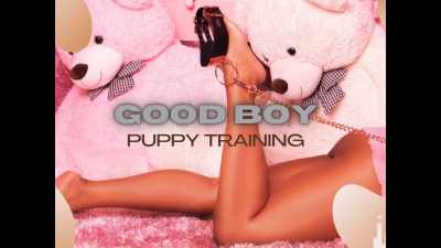 Puppy Training Session