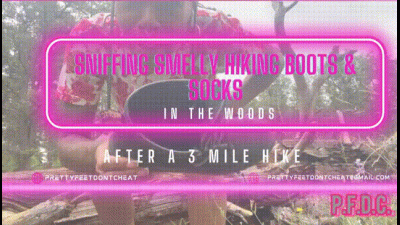 Sniffing Smelly Hiking Boots And Socks