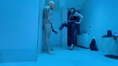 Ballbusting - Porn Video Clips For Sale at iWantClips - Page 110