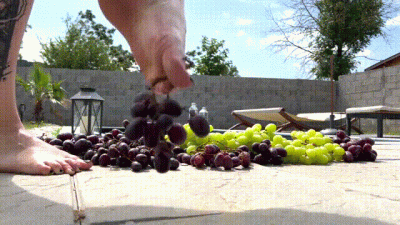 Grapefruit Crushing By The Pool