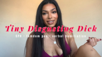 Tiny Disgusting Dick