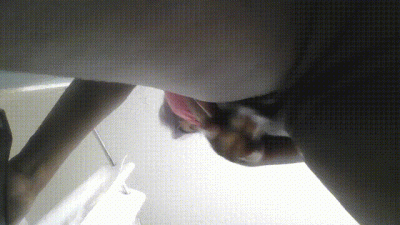 Big Phat Pussy