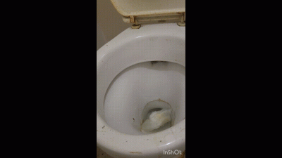 I Made My Toilet Extra Dirty, Now Get On Your Knees And Clean It With Your Tongue !!!!