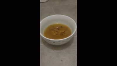 Oiiii Pitiful Slave, Time To Tuck Into Your Stinky Meaty Soup!!!!!!!