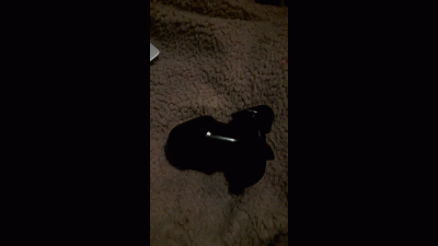 Locking Your Pathetic Cock Up In A Unescapable Cock Cage Using Bluetooth Locking And Unlocking