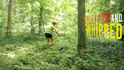 Whipping Between Trees