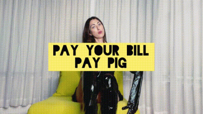 Pay Up Pay Pig