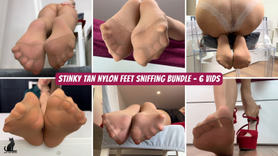Stinky Tan Nylon Feet Sniffing- Deluxe Bundle- 6 Videos