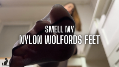 Smell My Nylon Wolfords Feet