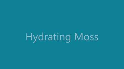 Hydrating Moss HD