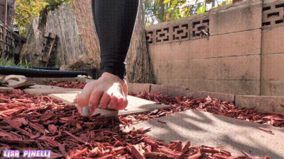 Feet On Wood Chips