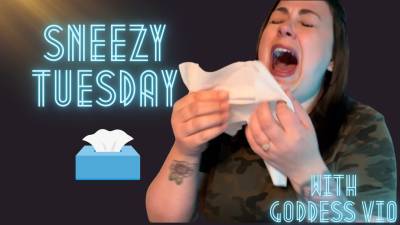 Sneezy Tuesday!