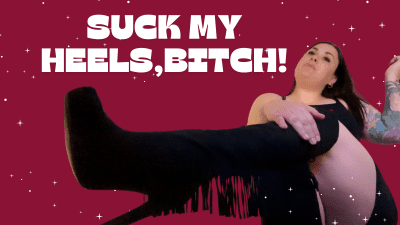 Suck My Heels, Bitch