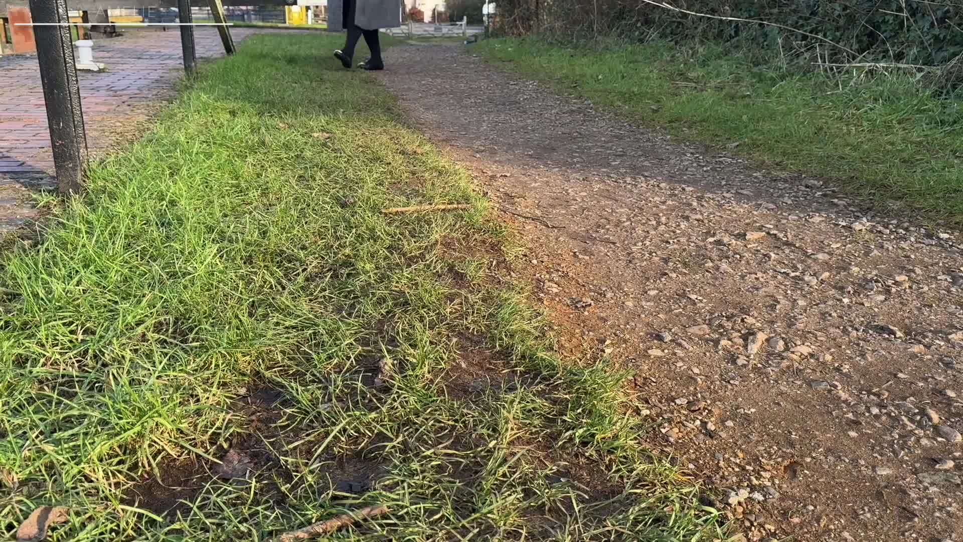 Sunny Afternoon Walk In Ballet Flats Black Tights