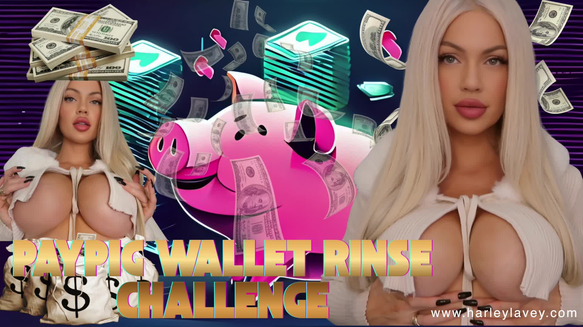Paypig Wallet Rinse Challenge
