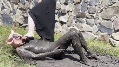 Pig In Mud