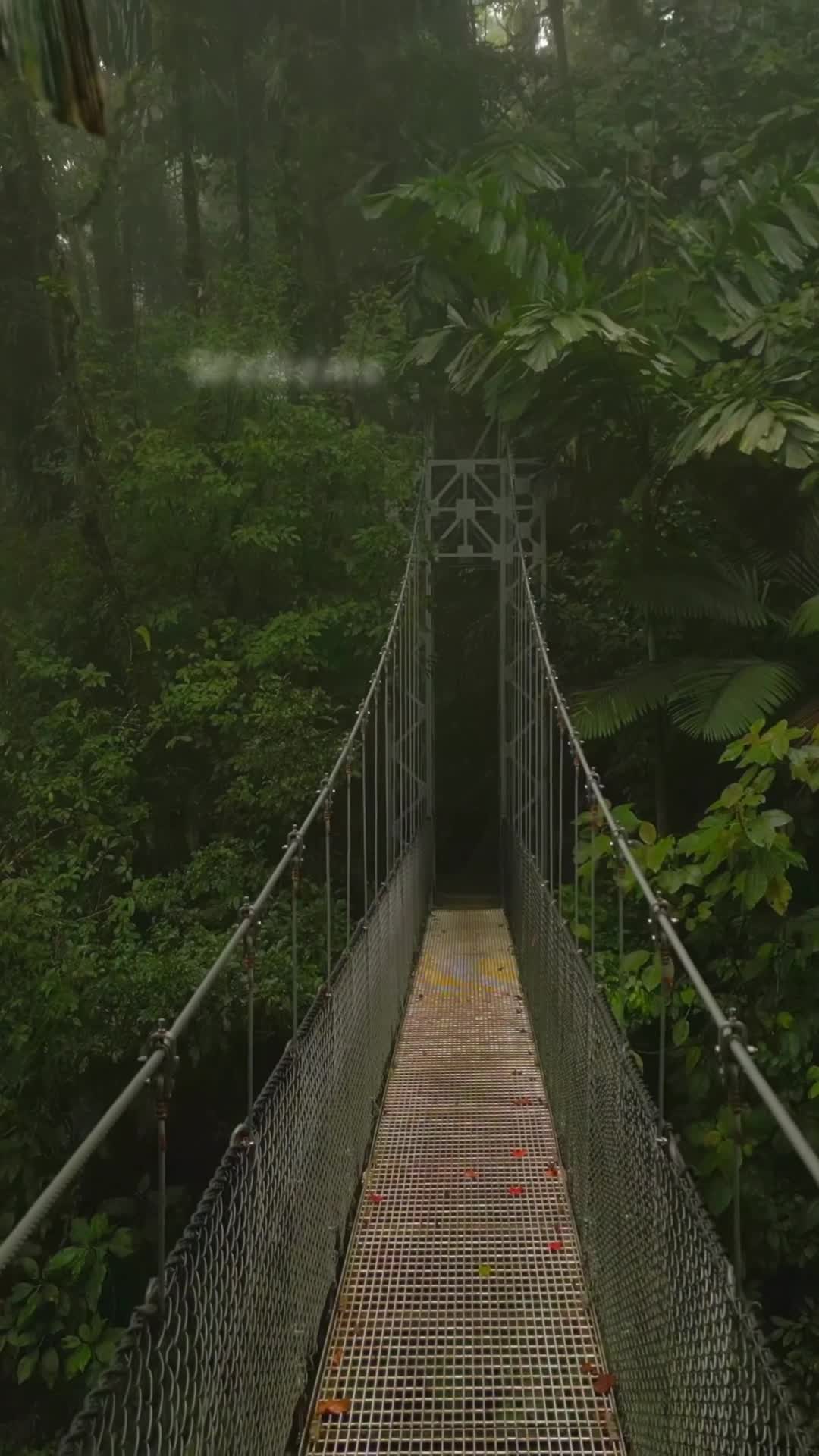 After Your Cutest T R I B U T E