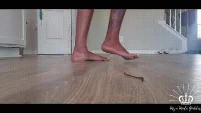 Human Roomba