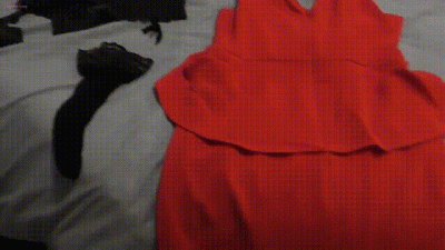 Date Night Sex