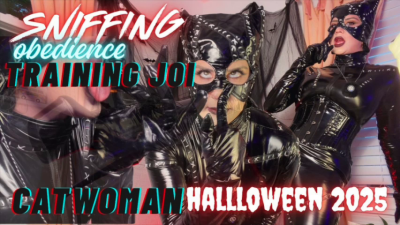 Sniff Obedience Training With Catwoman