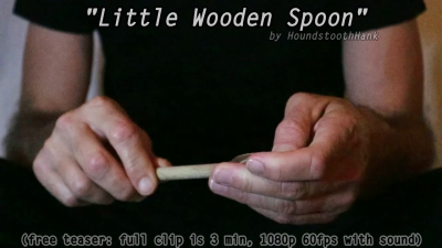 Little Wooden Spoon
