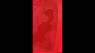 Bathtime With Elizabeth