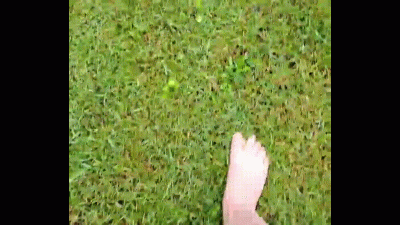 Wet Grass Feet