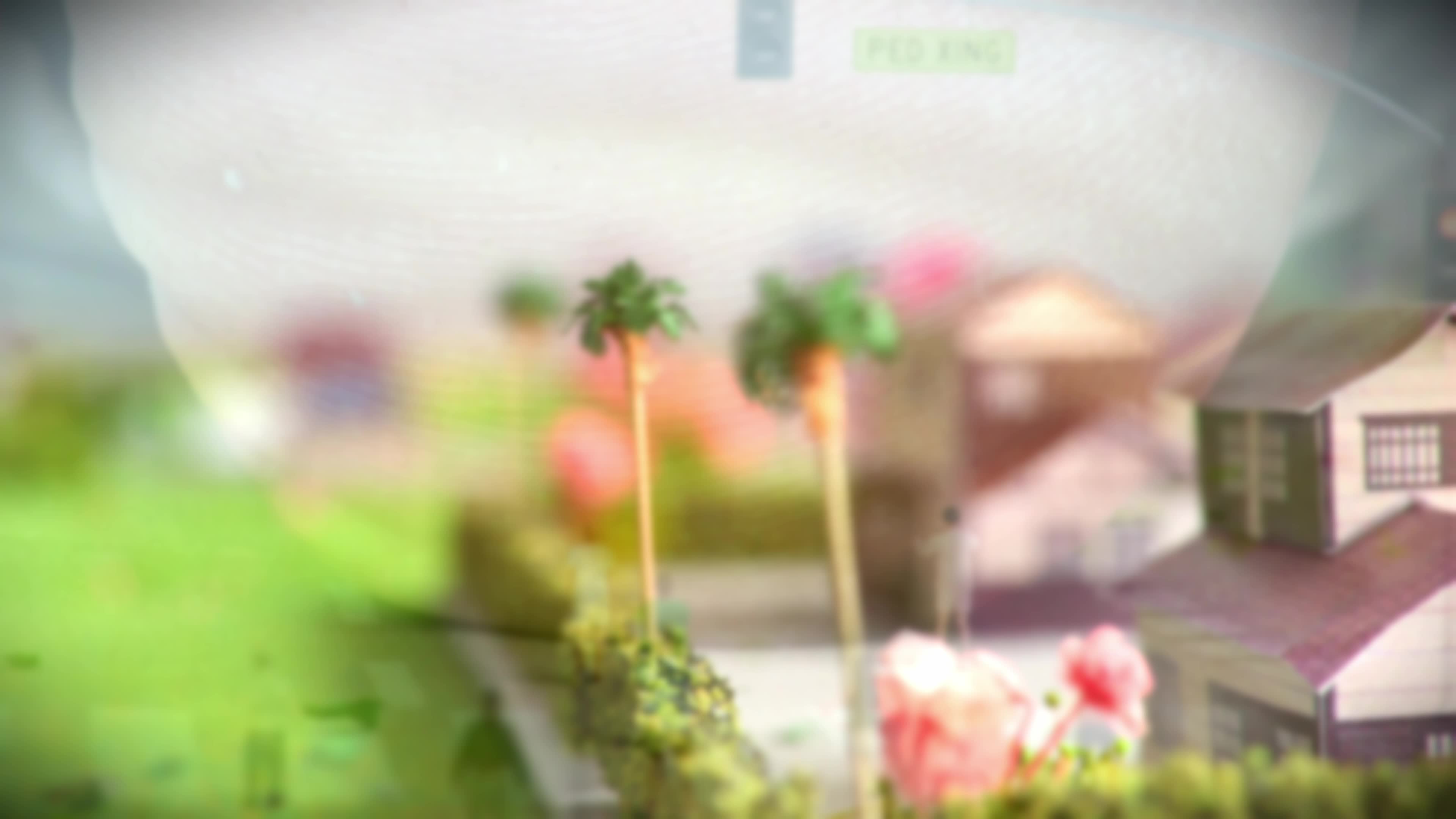 The City Of Miss Fair Trade - Part 7