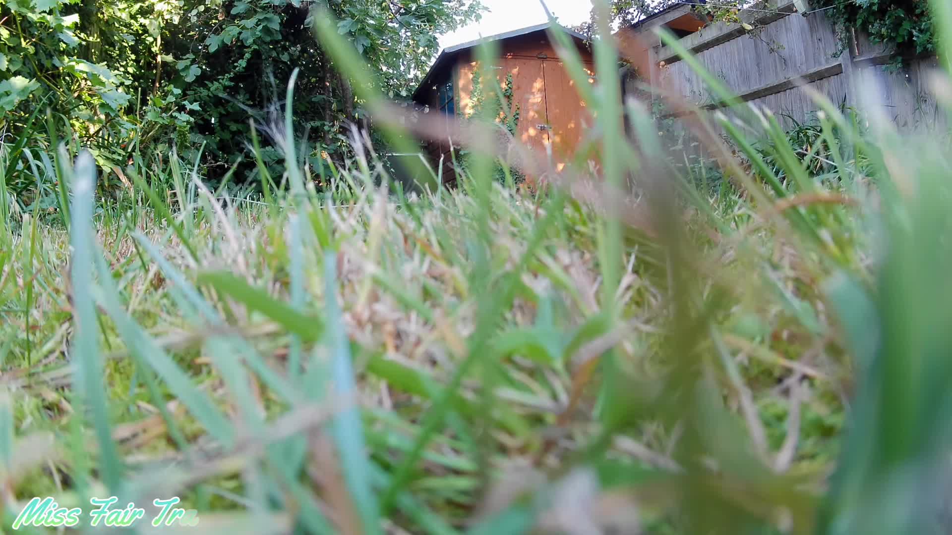 Tiny POV - Hiding In The Garden
