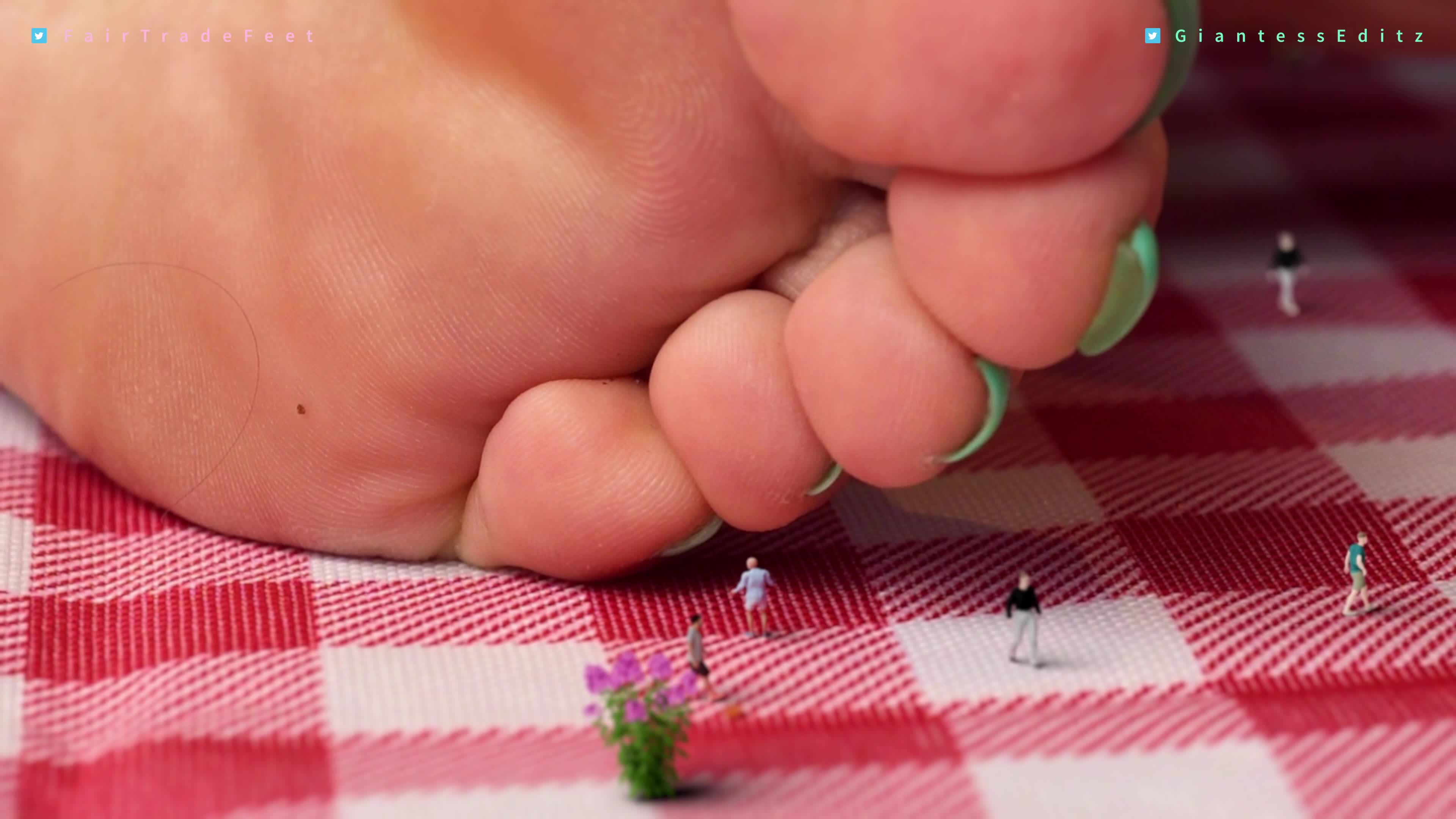 Goddess Fair Trade's Giantess Crush: The Tiny Picnic (Part2) - Stomp Domination