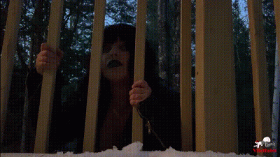 Lured Outside By A Creature Of The Night