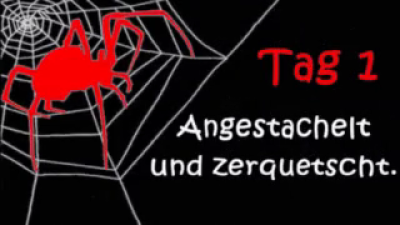 Spider & Fly 1