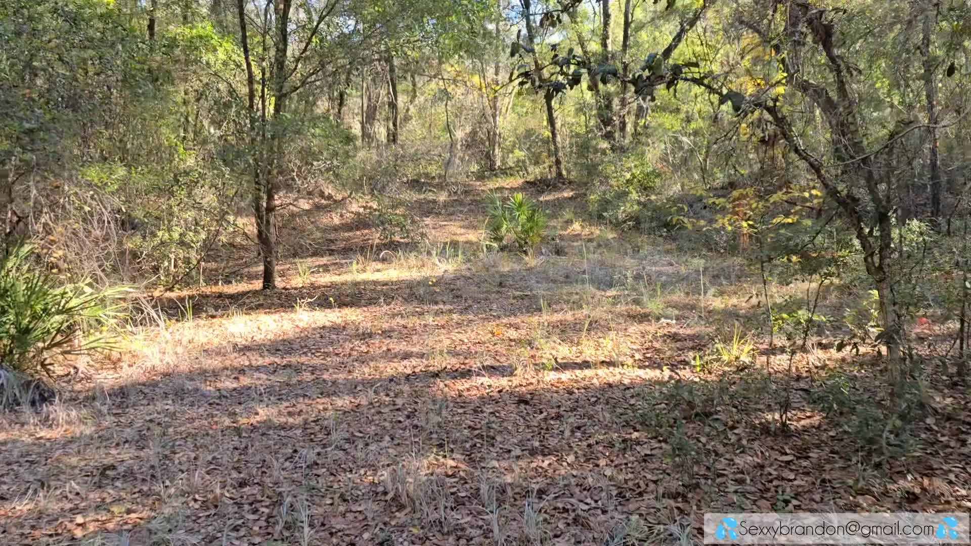 Horny MILF Takes Huge Creampie On Hike