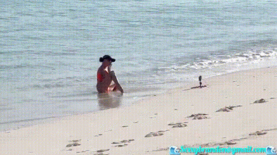 Beach Tinkles
