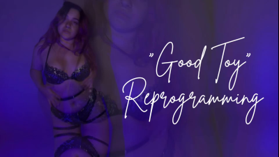 "Good Toy" Reprogramming