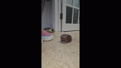 Cake Smash With Feet