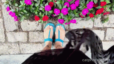 Blue Sexy Thong Sandals And White Toenails With Nyc Flowers