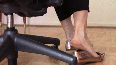 Metallic Flat Shoeplay