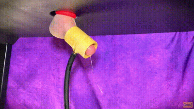 Cock Milking 2 Orgasms Back To Back With Venus 2000 Machine