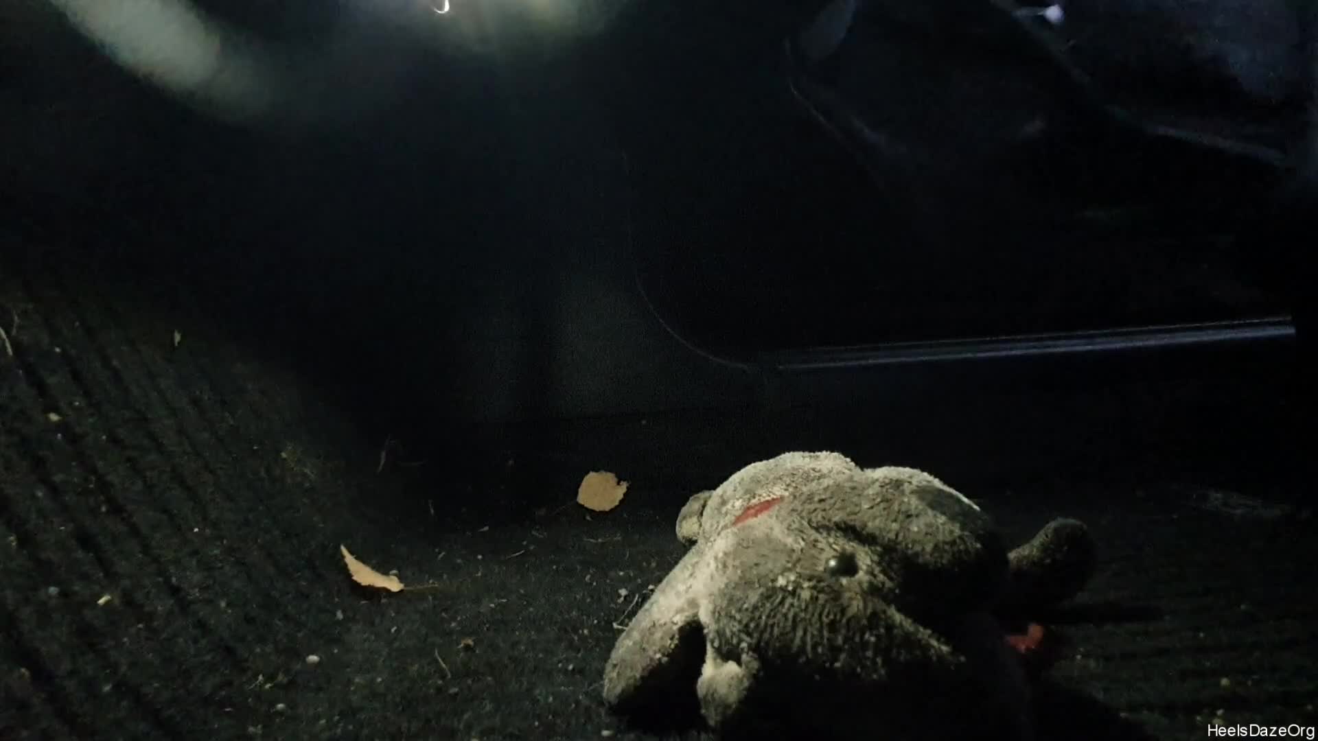 Candid Plushie Trample In Flat Leather Boots