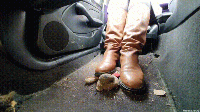 Candid Plushie Trample In Bmw E46 Leather Brown Boots 2