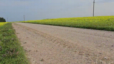 Bmw E46 Car Accident
