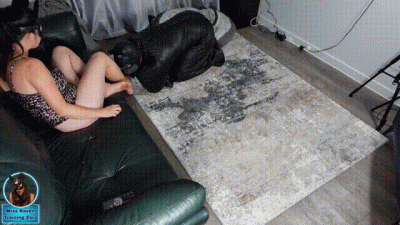 Femdom Puppy Slave Bdsm Training