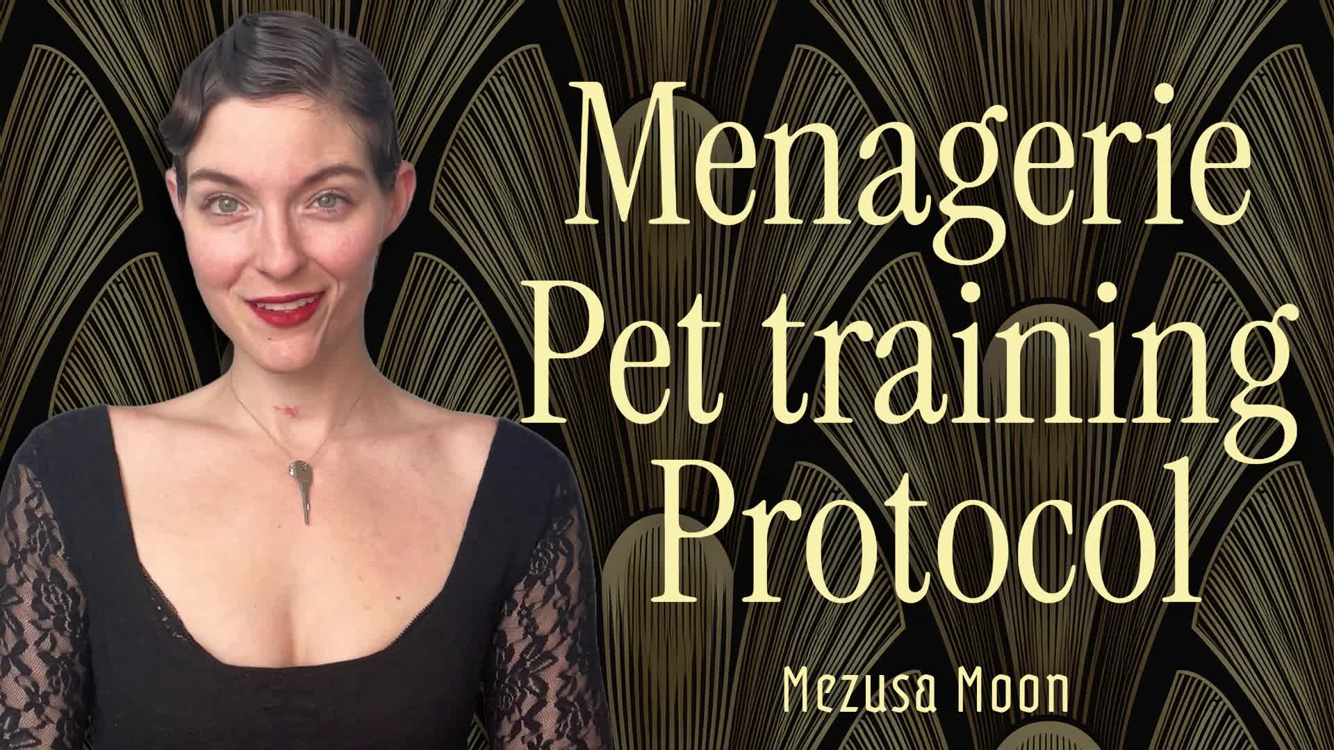 Menagerie Pet Training Protocol