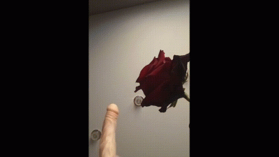 Psychedelic Femdom Domination