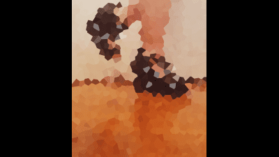 Black Wedges 1 (Sept. 2023)